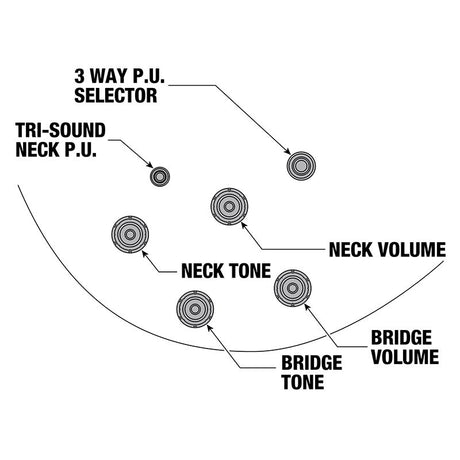 JSM10EM-TTB_(Two-tone_Burst)_[John_Scofield_Model___SPOT_MODEL]_11