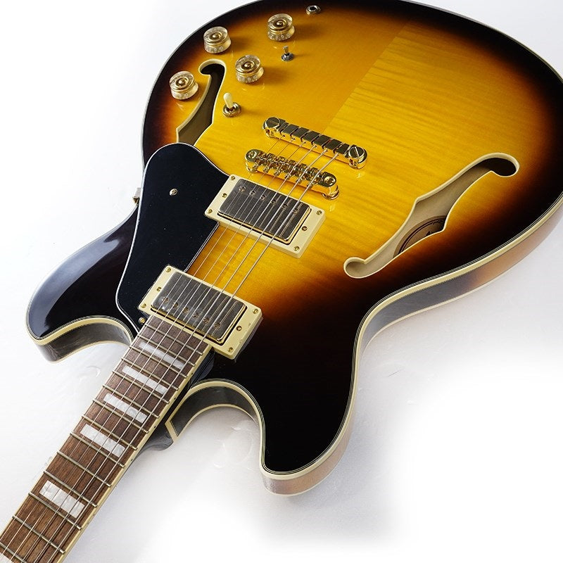 JSM10EM-TTB_(Two-tone_Burst)_[John_Scofield_Model]_[SPOT_MODEL]_06