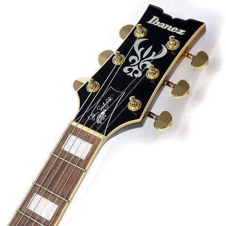 JSM10EM-TTB_(Two-tone_Burst)_[John_Scofield_Model]_[SPOT_MODEL]_09