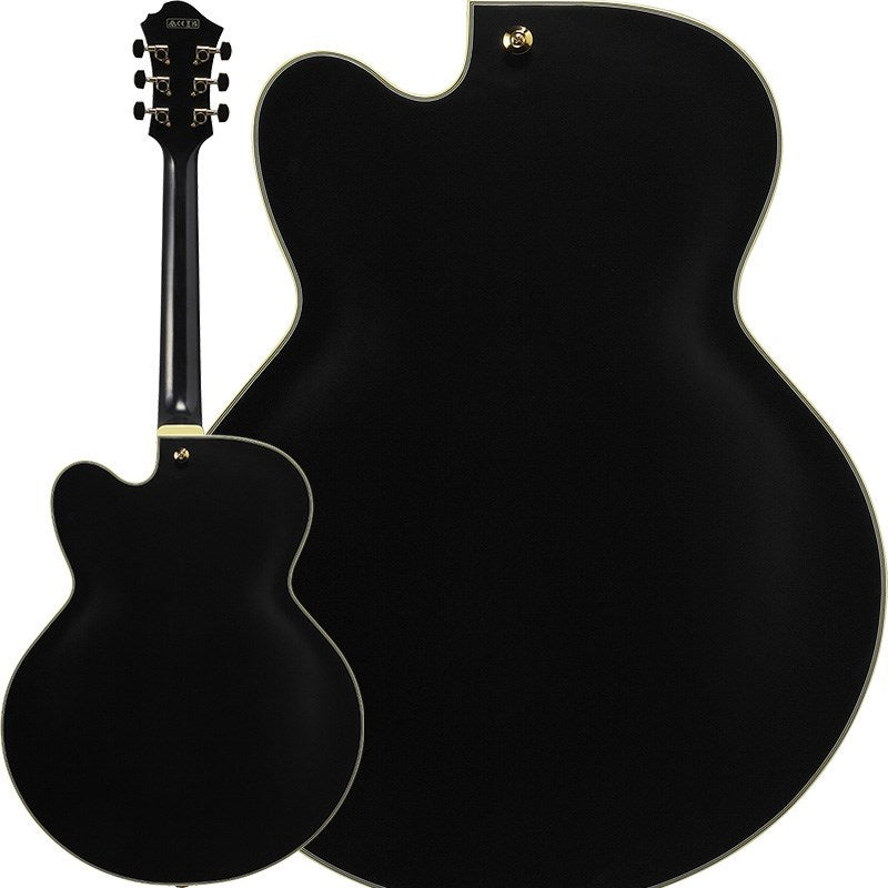 ARTSTAR_PM3C-BKL_(Black_Low_Gloss)_[Pat_Metheny_Model]_[SPOT_MODEL]_02