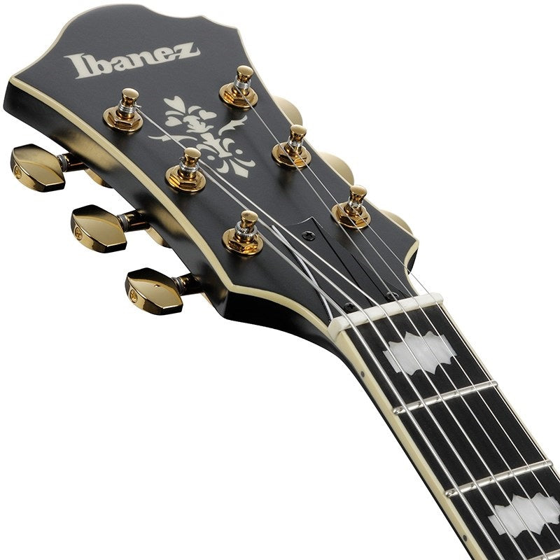 ARTSTAR_PM3C-BKL_(Black_Low_Gloss)_[Pat_Metheny_Model]_[SPOT_MODEL]_05