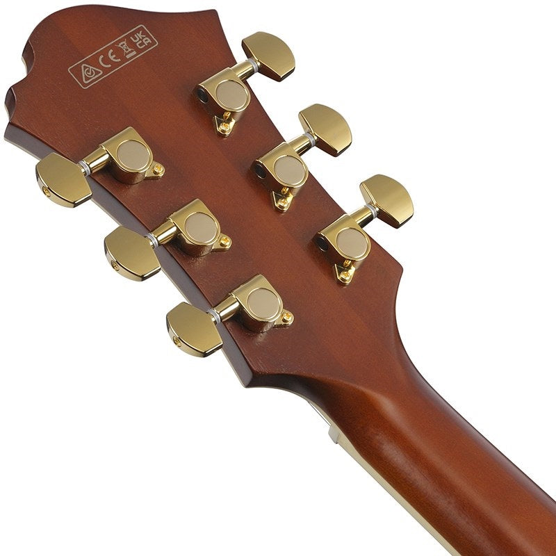 ARTSTAR_PM3C-NAL_(Natural_Amber_Low_Gloss)_[Pat_Metheny_Model___SPOT_MODEL]_06