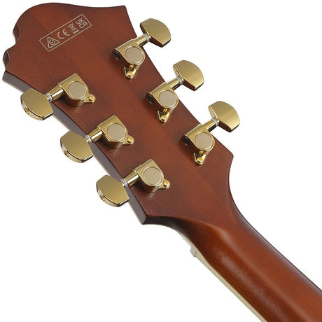 ARTSTAR_PM3C-NAL_(Natural_Amber_Low_Gloss)_[Pat_Metheny_Model___SPOT_MODEL]_06