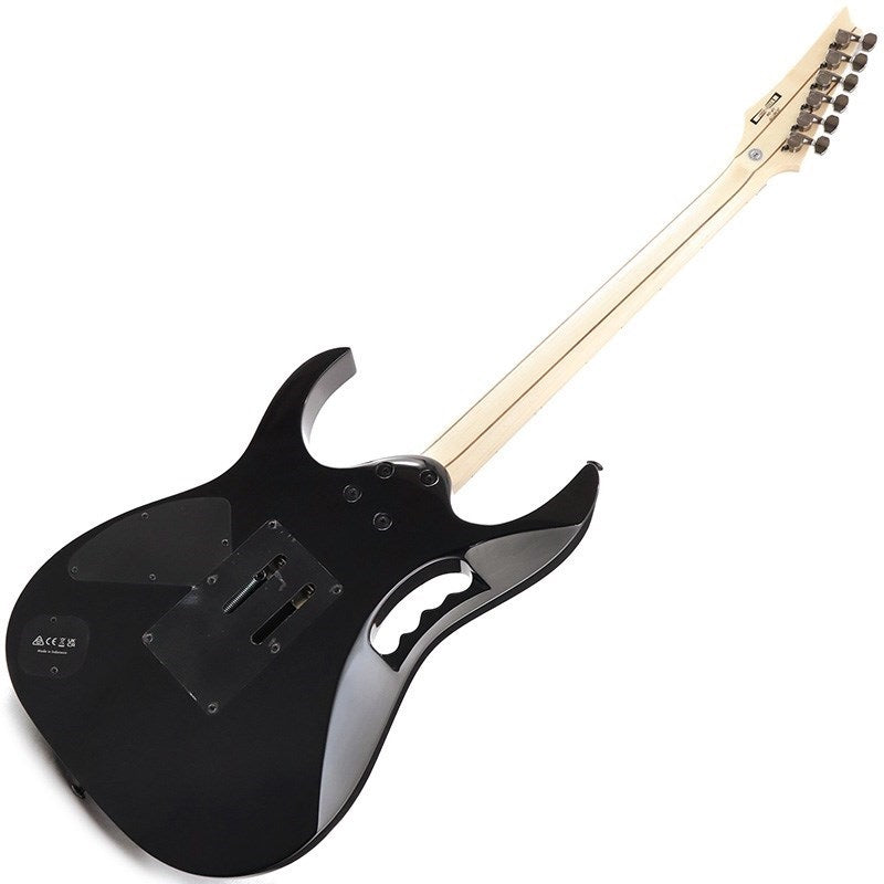 JEM77P-BFP_(Blue_Floral_Pattern)_[Steve_Vai_Model]_[Special_price]_03
