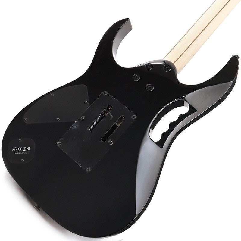 JEM77P-BFP_(Blue_Floral_Pattern)_[Steve_Vai_Model]_[Special_price]_06