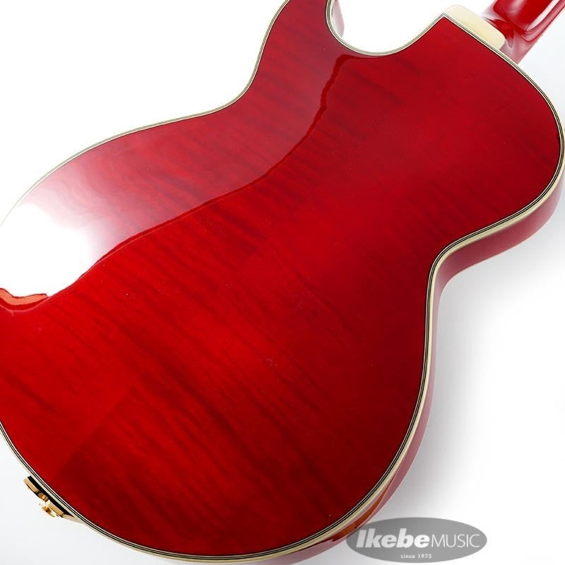 GB10SEFM-SRR_[George_Benson_Signature_Model]_[SPOT_MODEL]_[Special_Price]_08