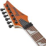 RG460DX-ROM_(Roadster_Orange_Metallic)_[Limited_Model]_05