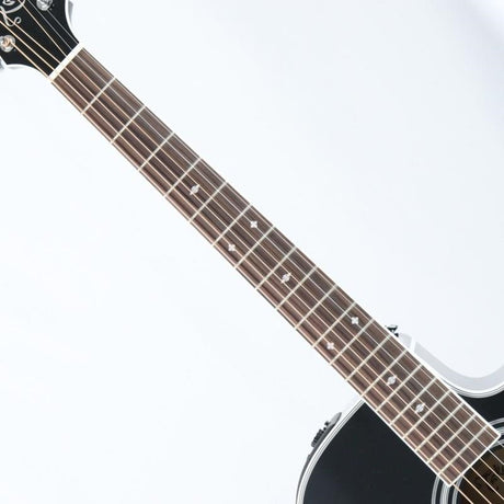 EF341SC_BL_Takamine_05