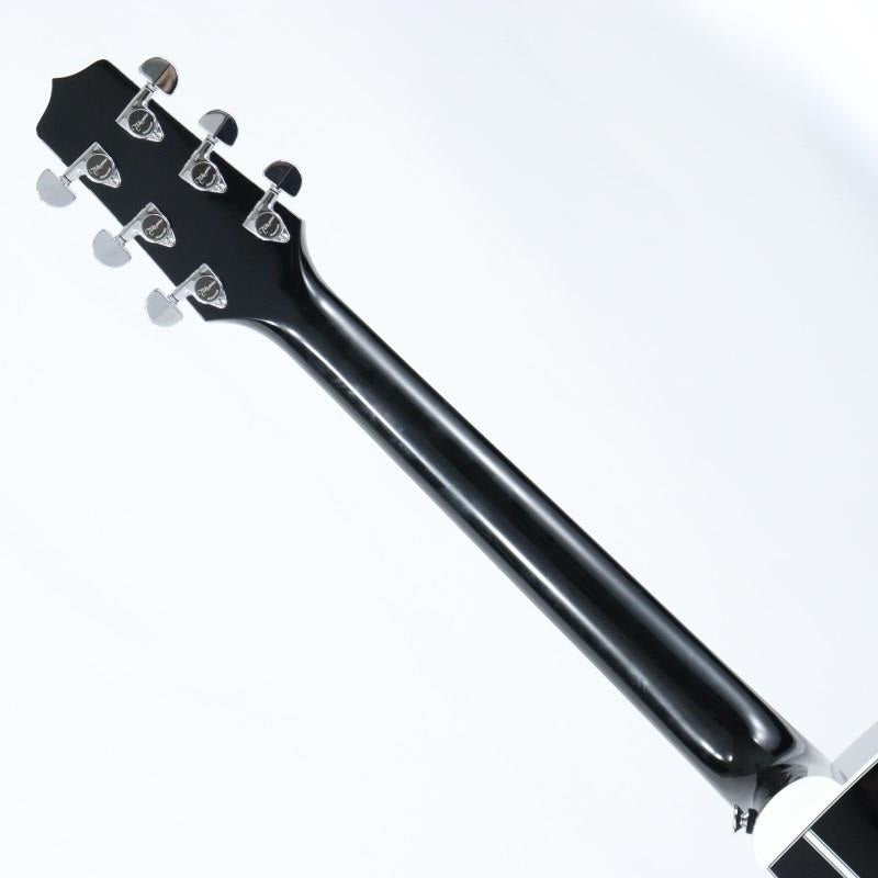 EF341SC_BL_Takamine_06