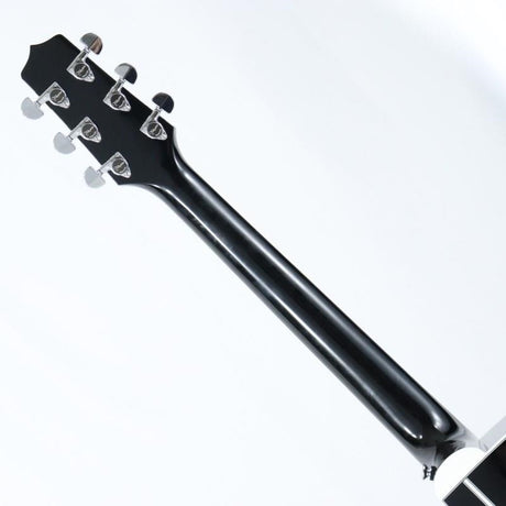 EF341SC_BL_Takamine_06