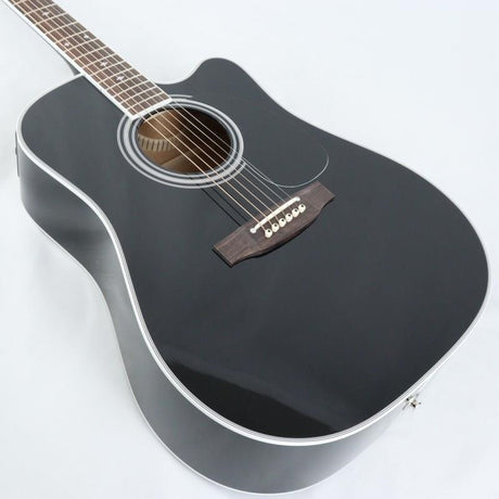 EF341SC_BL_Takamine_10
