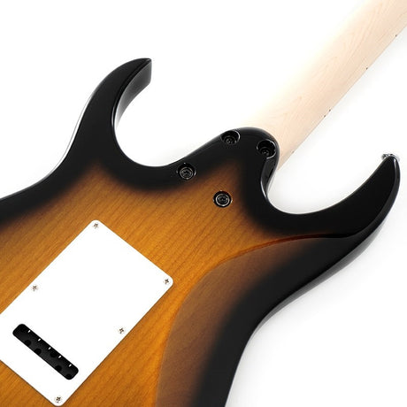 AT100CL-SB_[Andy_Timmons_Signature_Model]_06