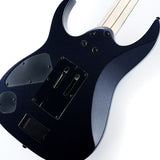 RGR6BSP-IPT_(Iron_Pewter)_[Limited_Model]_08