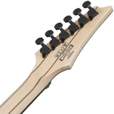 RGR6BSP-IPT_(Iron_Pewter)_[Limited_Model]_06
