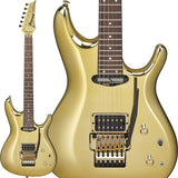 JS1GD_[Joe_Satriani_Model]_【Made_to_Order】_01