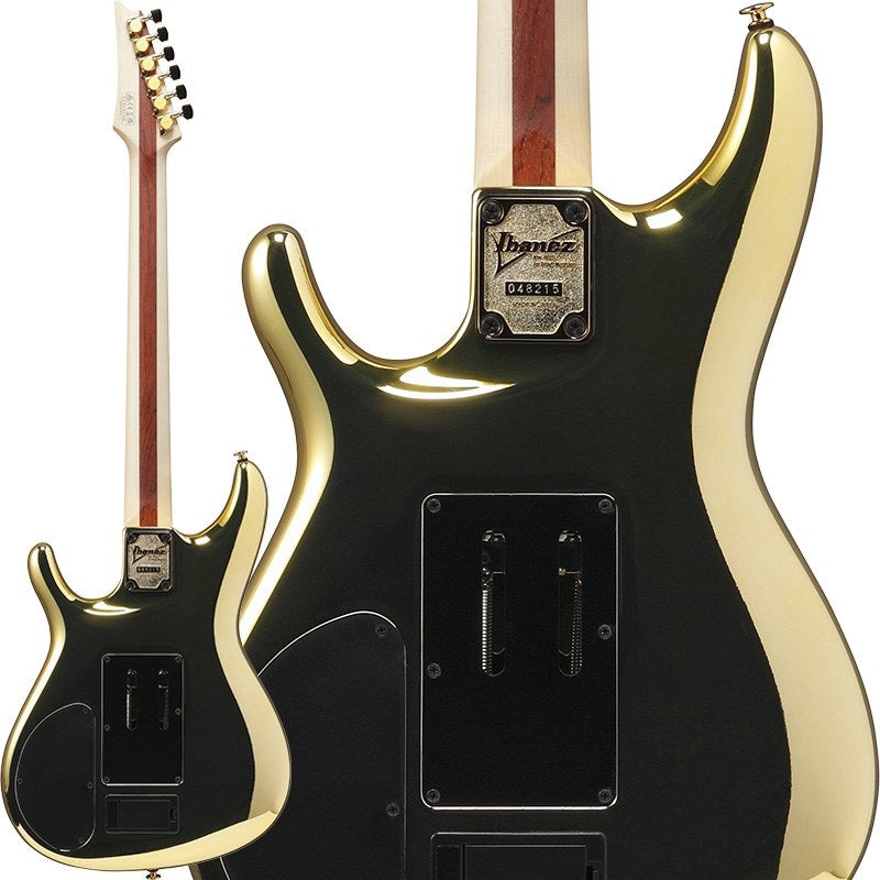 JS1GD_[Joe_Satriani_Model]_【Made_to_Order】_02
