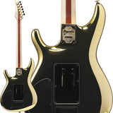 JS1GD_[Joe_Satriani_Model]_【Made_to_Order】_02
