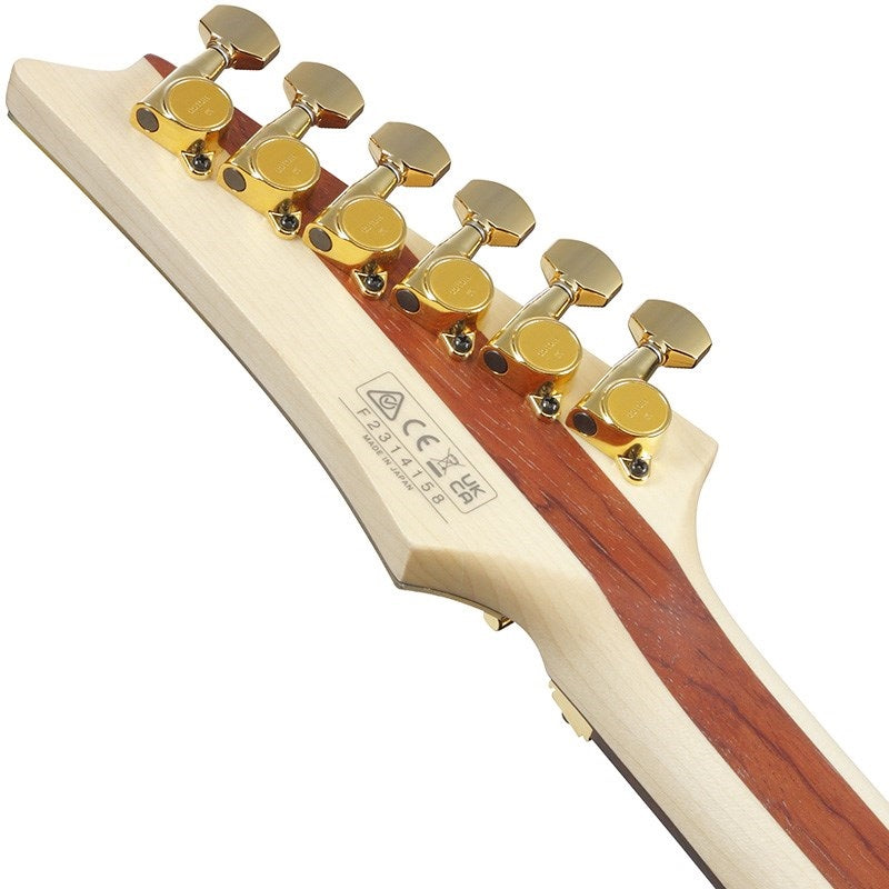 JS1GD_[Joe_Satriani_Model]_【Made_to_Order】_06