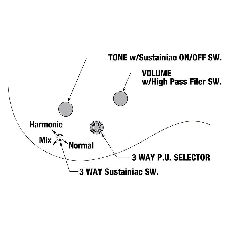 JS1GD_[Joe_Satriani_Model]_【Made_to_Order】_08