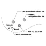 JS1GD_[Joe_Satriani_Model]_【Made_to_Order】_08