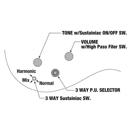 JS1GD_[Joe_Satriani_Model]_【Made_to_Order】_08