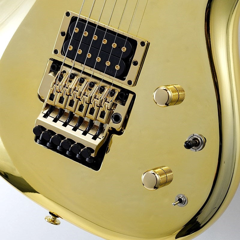 JS1GD_[Joe_Satriani_Model]_SN_F2507443_05