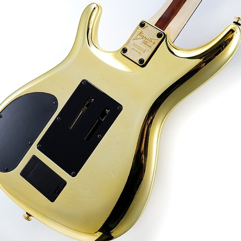 JS1GD_[Joe_Satriani_Model]_SN_F2507443_08