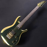JS1GD_[Joe_Satriani_Model]_#F2503700_02
