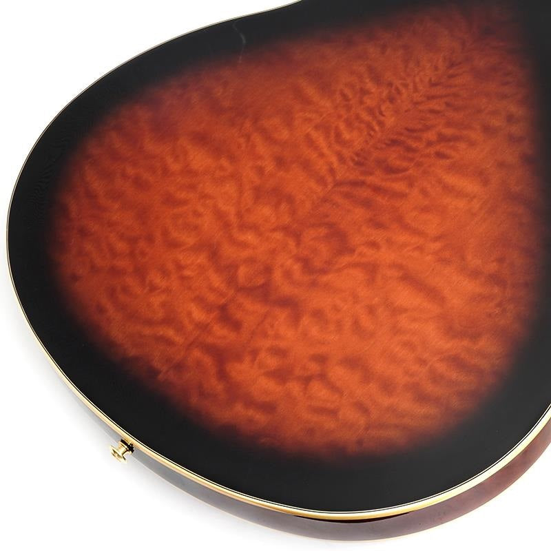 Artcore_Expressionist_AS93QMSP-DBS_(Dark_Brown_Sunburst)_[SPOT_MODEL]_08