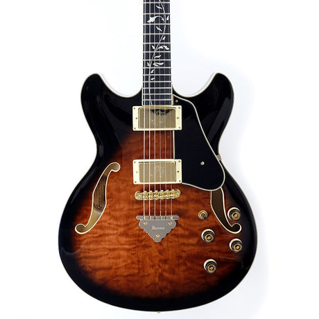 Artcore_Expressionist_AS93QMSP-DBS_(Dark_Brown_Sunburst)_[SPOT_MODEL]_10