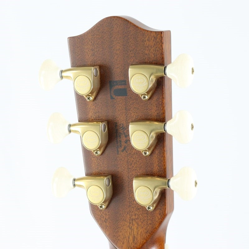 HD-ROSE_CUSTOM_ATB_[Ikebe_Musical_Instrument_Store_50th_Anniversary_Limited_Edition_Model]_Headway_06