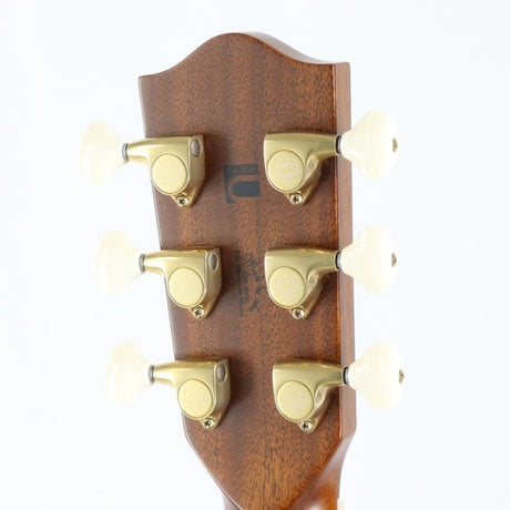 HD-ROSE_CUSTOM_ATB_[Ikebe_Musical_Instrument_Store_50th_Anniversary_Limited_Edition_Model]_Headway_06
