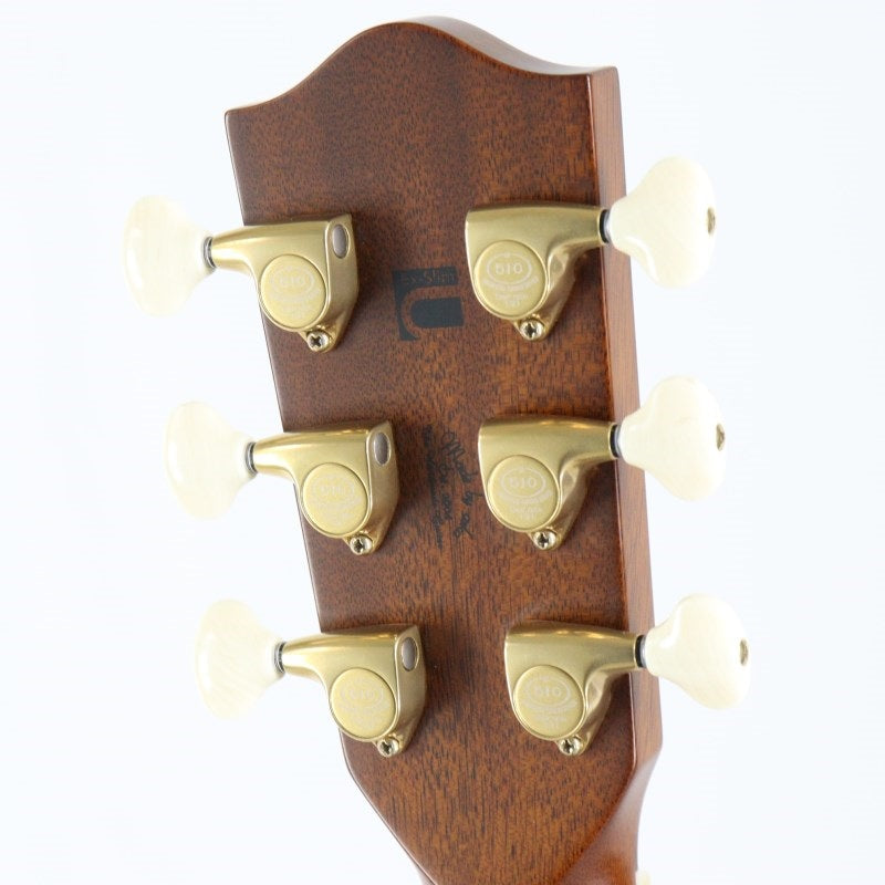 HF-ROSE_CUSTOM_ATB_[Ikebe_Musical_Instrument_Store_50th_Anniversary_Limited_Edition_Model]_Headway_06