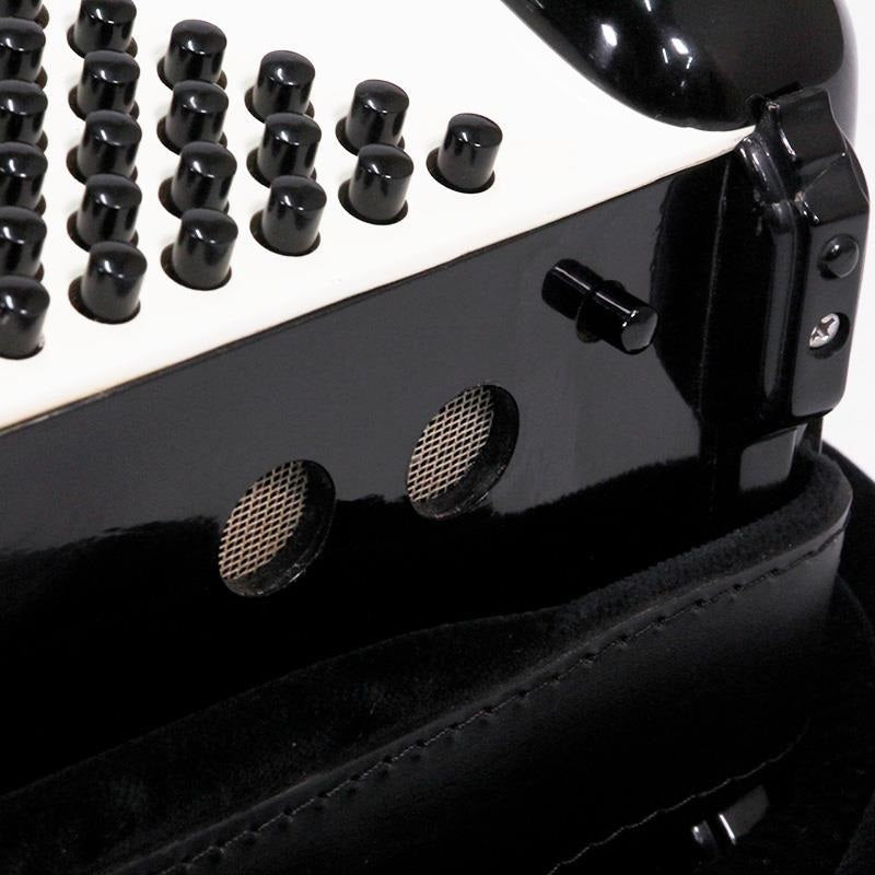 [Early_Bird_Special_Sale]_USED_EXCELSIOR_Mod_901_(Bargain_Item_with_Imperfections)_MMML_Musette_Excelsior_Italian-made_Button-type_Chromatic_Accordion_120_Bass_04