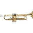 J_Michael___TR-200_[Bb_Trumpet]_[Brand_New，_Slightly_Damaged，_Super_Special_Price!!]_[Grand_Clearance_Sale]_01