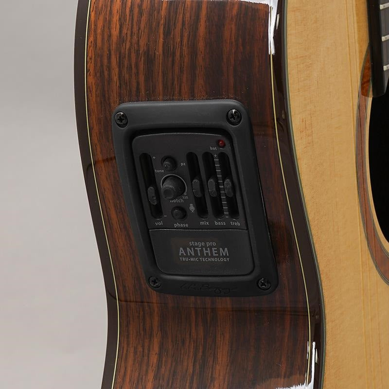 CTM_CE-3D_Select_Spruce_Top_~Ikebe_Original_Order_Model~_K_Yairi_09