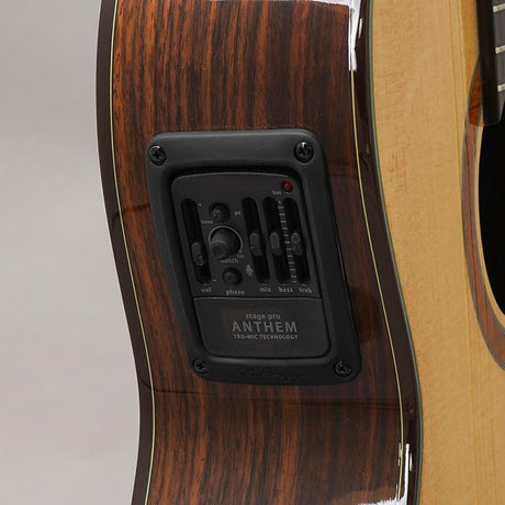 CTM_CE-3D_Select_Spruce_Top_~Ikebe_Original_Order_Model~_K_Yairi_09