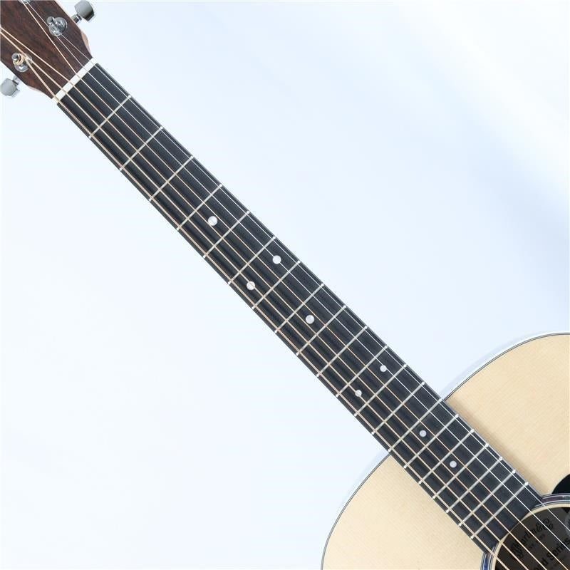 D-13E_Ziricote_Martin_Martin_05