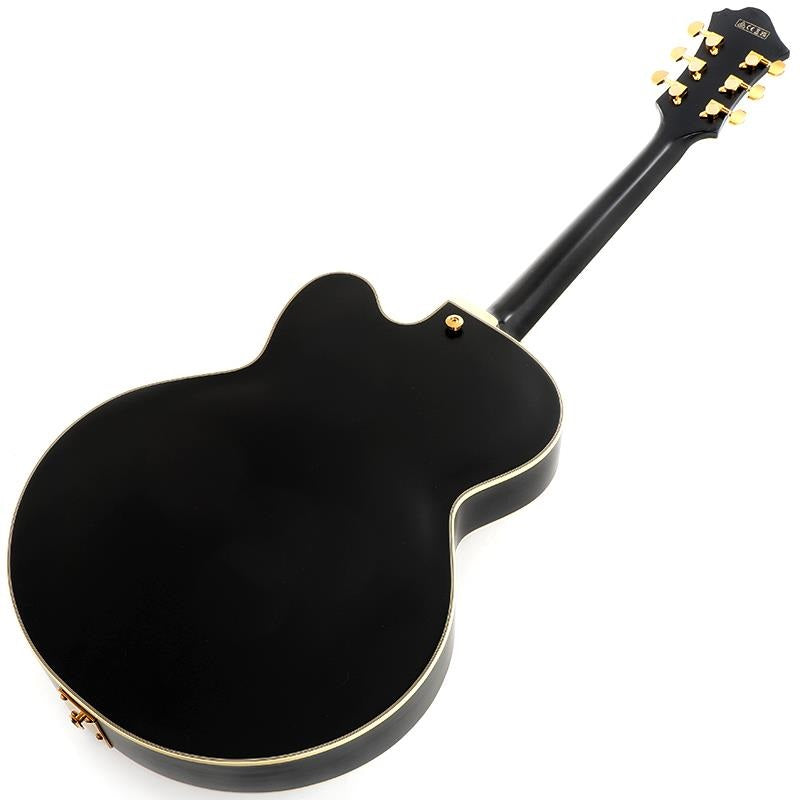 ARTSTAR_PM3C-BKL_(Black_Low_Gloss)_[Pat_Metheny_Model]_[SPOT_MODEL]_03