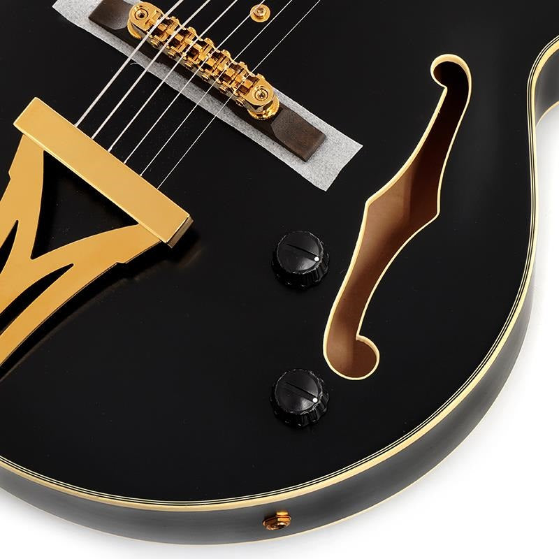 ARTSTAR_PM3C-BKL_(Black_Low_Gloss)_[Pat_Metheny_Model]_[SPOT_MODEL]_05