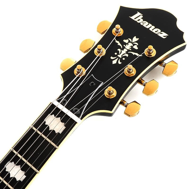 ARTSTAR_PM3C-BKL_(Black_Low_Gloss)_[Pat_Metheny_Model]_[SPOT_MODEL]_07