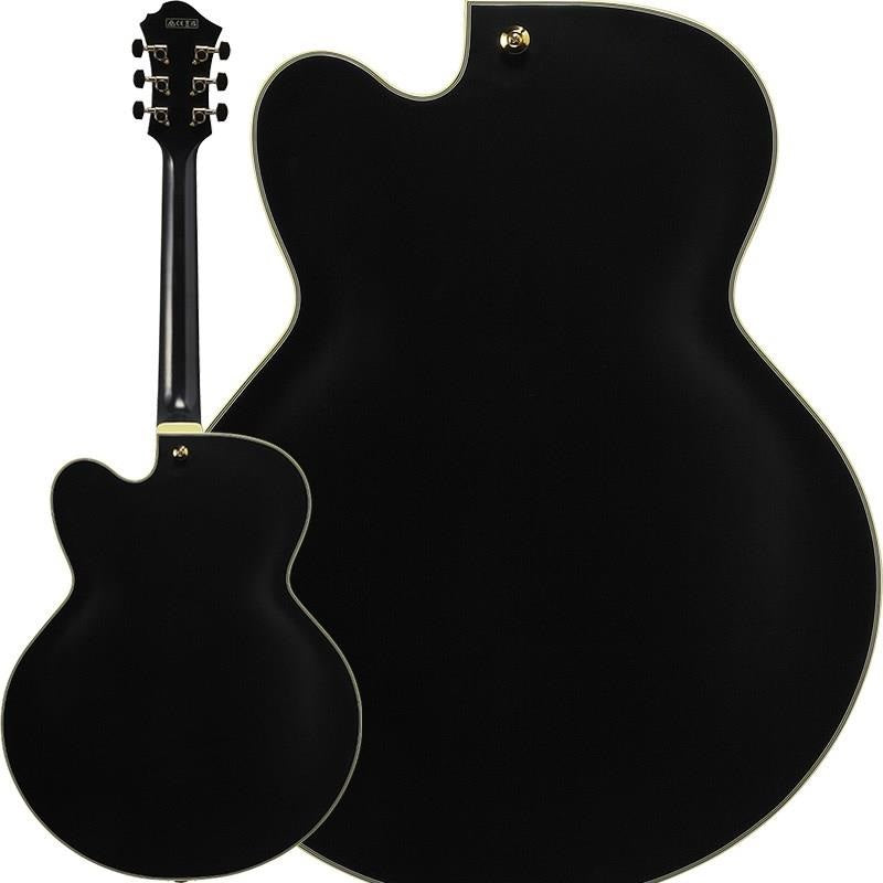 ARTSTAR_PM3C-BKL_(Black_Low_Gloss)_[Pat_Metheny_Model]_[SPOT_MODEL]_02