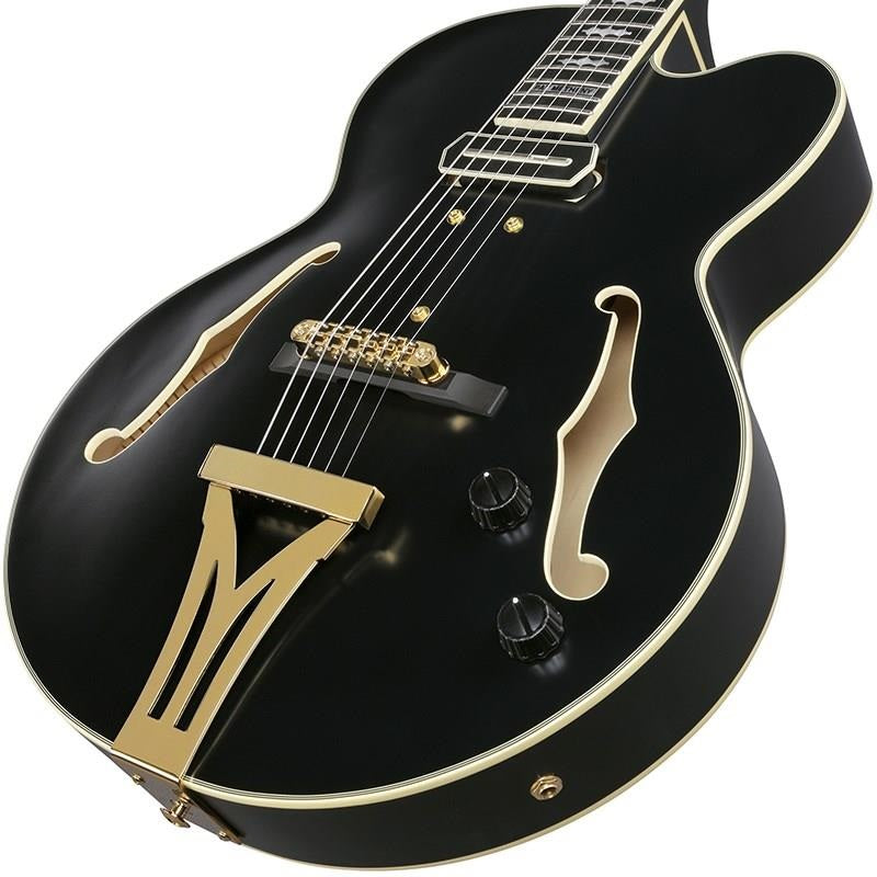 ARTSTAR_PM3C-BKL_(Black_Low_Gloss)_[Pat_Metheny_Model]_[SPOT_MODEL]_03