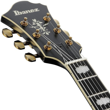 ARTSTAR_PM3C-BKL_(Black_Low_Gloss)_[Pat_Metheny_Model]_[SPOT_MODEL]_05