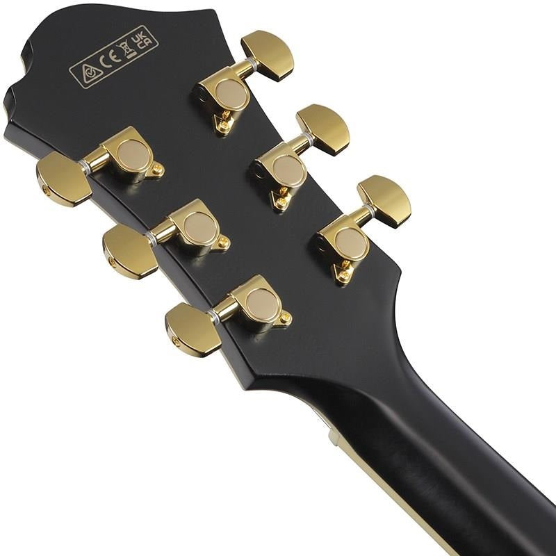 ARTSTAR_PM3C-BKL_(Black_Low_Gloss)_[Pat_Metheny_Model]_[SPOT_MODEL]_06