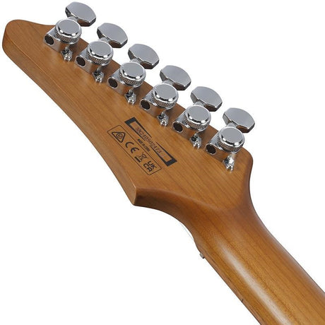 AZ_Standard_AZ22S1F-TKS_(Transparent_Black_Sunburst)_07