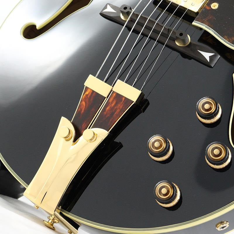 GB10-BK_(Black)_[George_Benson_Model___SPOT_MODEL]_06