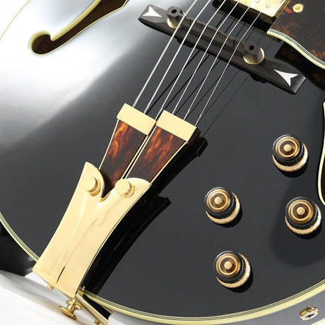 GB10-BK_(Black)_[George_Benson_Model___SPOT_MODEL]_06