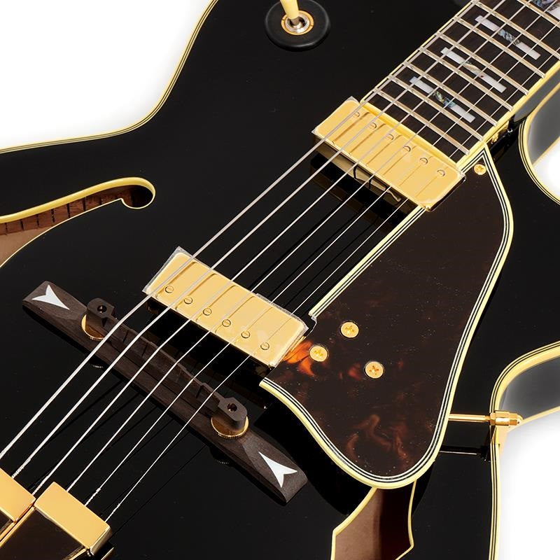 GB10-BK_(Black)_[George_Benson_Model]_[SPOT_MODEL]_04