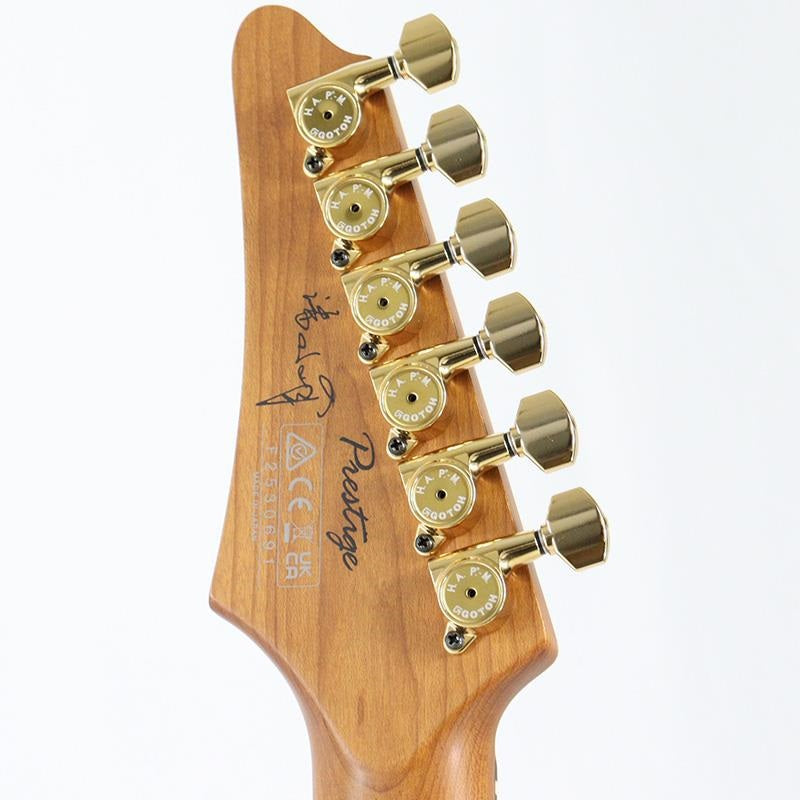 GF1-TFB_(Tri_Fade_Burst)_[GaoFunk_Model___Limited_Model]_09